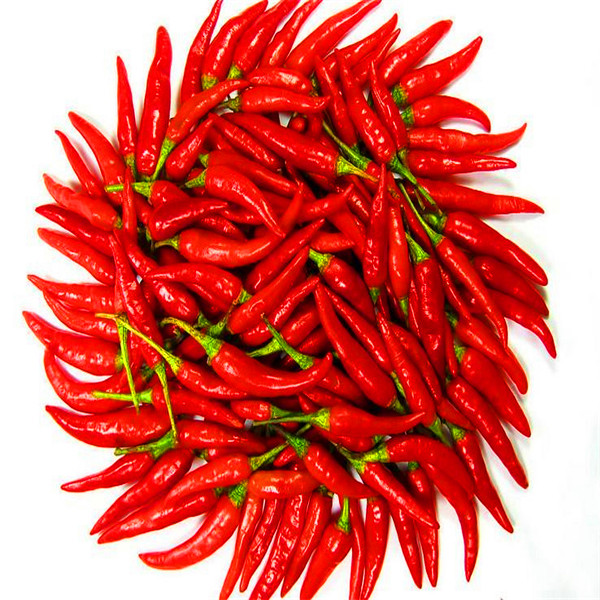 Buy cheap 20000SHU Sanying Tianjin Red Chilies HACCP KOSHER Certificate from wholesalers