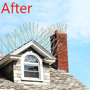 Quality 11 Cm Silver Stop Bird Roosting Spikes Silver Spike Height for sale