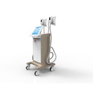 2018 hottest cryolipolysis slimming machine 2 handles body slimming cool