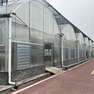 Buy cheap Strong Structure Heavy Duty Plastic Greenhouse / Plastic Tomato Greenhouse from wholesalers