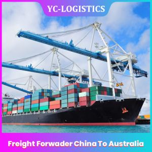 Buy cheap DDP ShenZhen Sea Freight From China To Australia Fast Delivery from wholesalers