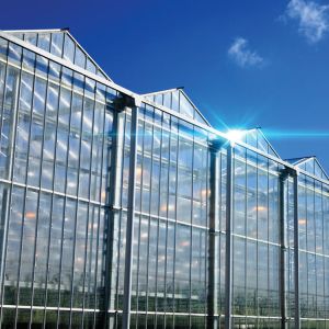 8mm Float Glass Venlo Glass Greenhouse Hydroponic System Double Layer