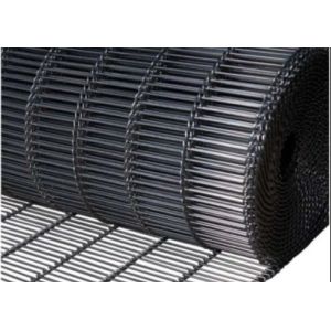 Cleaning Blueberry 304 Flat Flex Wire Belt Rustproof And Durable