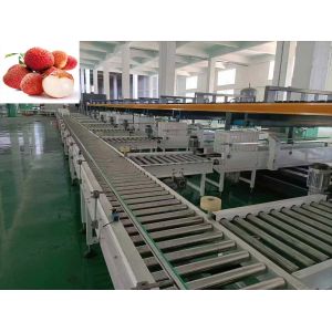Buy cheap Precise Fruit Grading Machine Intelligent 3 Channel For Litchi from wholesalers