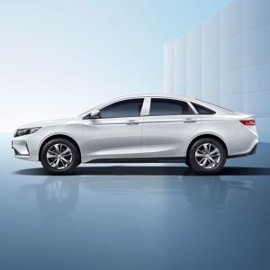 Buy cheap 2024Hot sale EV Electric Vehicle Maple Leaf 60s 2022 modified easy version lithium iron phosphate Compact Car from wholesalers