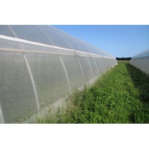 HDPE Plastic Anti-Bee Net, Bee Netting