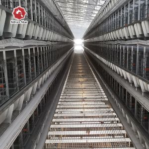 H Shaped Small Stacked Layer Chicken Cage 6 Layers Customized