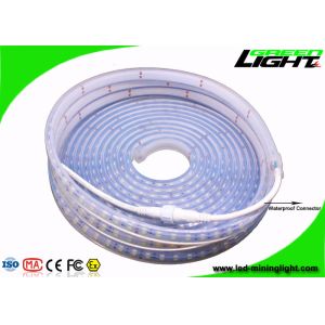 Buy cheap Professional Safety Outdoor Led Strip Lights With 60Leds/M , Fire Resistant from wholesalers