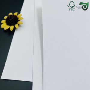 FSC C2S Double Side Glossy Art Paper Sheets Coated Duplex Board For Poster