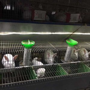 Buy cheap Silver / Green Commercial Rabbit Cages , Labor Saving Indoor Rabbit House from wholesalers