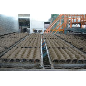 Buy cheap Egg Tray Carton Box Making Machine Computer Control Panel With Drying Function from wholesalers