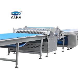 High Productivity 620mm Width Cream Cracker Production Line
