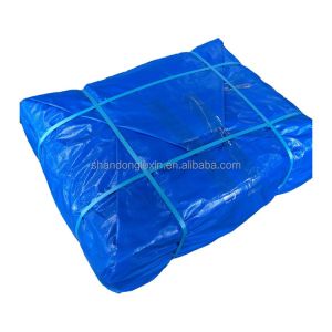 Outdoor-Industry Pe Tarpaulin Korea Eyelets Duffel Bag with Direct and Other