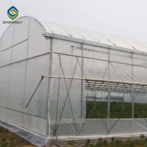 Sprinkler Irrigation 9m Agricultural Multi Span Greenhouse