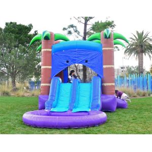 Buy cheap Colorful Inflatable Palm Tree Screamer Water Slide 0.55mm Plato PVC Material from wholesalers