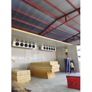 Fireproof Insulation PU/PIR Sandwich Panel for Cold Room/Warehouse/Workshop Home