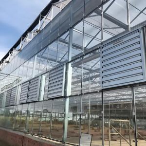 Galvanized Steel structure With Hydroponic Growing Systems Automated Intelligent
