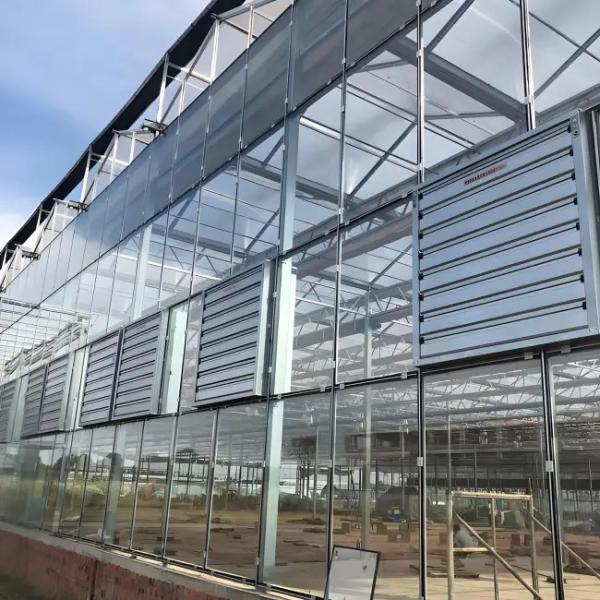 Galvanized Steel structure With Hydroponic Growing Systems Automated Intelligent