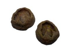 Buy cheap Footprint Shape Reptile Water Dish Customized Design Lizard Water Bowl from wholesalers