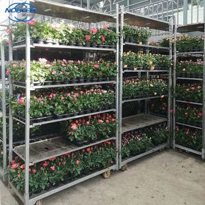 Buy cheap Danish Trolley 2 Directional Rubber Wheel Push And Pull Type Flower Trolley Folding from wholesalers
