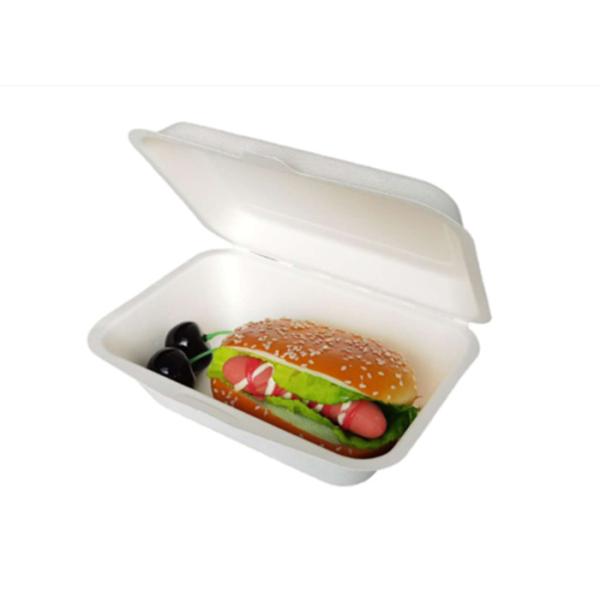 Quality Eco Friendly Bagasse Clamshell Containers 271x182x45mm for sale