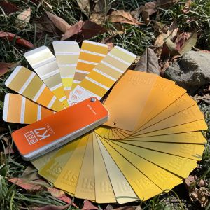 Buy cheap DSM Resin Industrial Coatings The Ultimate Solution for Spray Application powder paint from wholesalers