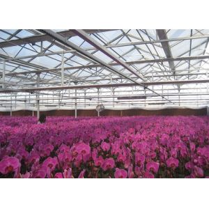 Buy cheap Venlo Multi Span Polycarbonate Sheet Greenhouse Low Material Consumption from wholesalers