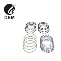 Quality For MAN OD-MN22 D2538 MT/MTE Piston Rings Oil Rings for sale