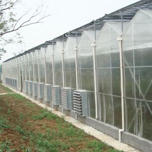 Buy cheap Agricultural Flowers Shading Multi Span Hot Dipped Galvanized Polycarbonate Greenhouse from wholesalers