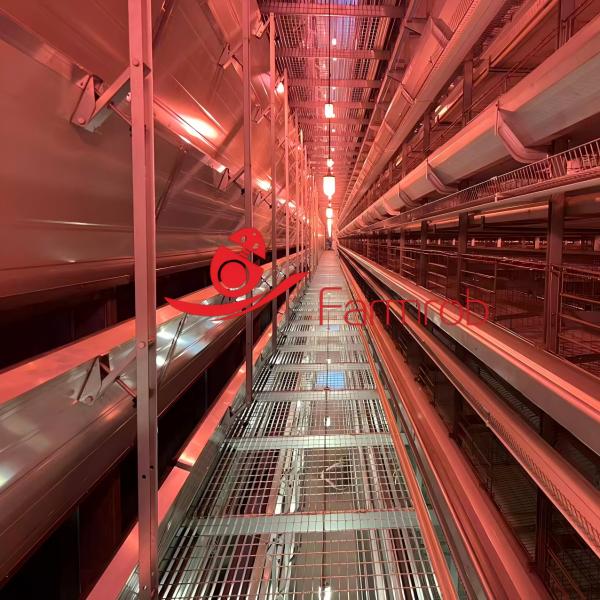 Buy cheap Precision Environmental Management Layer Chicken Cage System Smart Coop from wholesalers