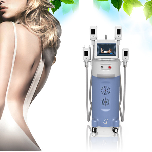 Quality 4 Handpieces Vertical Loss Weight  Freezing Fat Cryolipolysis Slimming Machine for sale