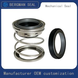 BERGMAN TYPE/T2 FBD Inch Graphite Silicon Carbide Tungsten Carbide Nitrile Viton