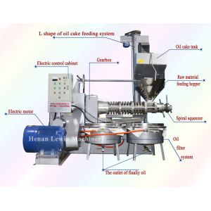 Buy cheap Automatic Screw Oil Press Machine Olive Oil Extraction Machine Cold And Hot Press from wholesalers