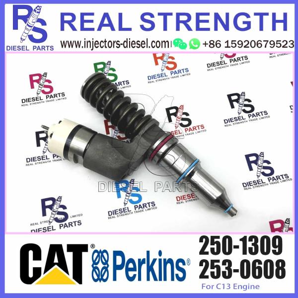 Quality 250-1309 Diesel Engine Fuel Injector Excavator C11 C13 Diesel Engine Spare Parts 250-1309 for sale