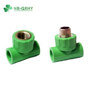 PP-R Pipe Fitting for Plastic Fitting Reducing Water Connector PPR Pipe