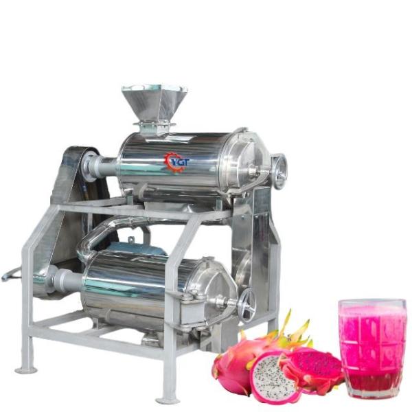 Quality Complete Passion Fruit Processing Line Customized Passion Fruit/Pitaya/Guava Production Plant Machine With PLC For Fruit Industry SUS304/316 for sale