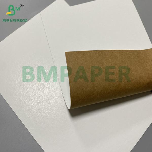 360gr 365gr White Face Kraft Reverse Food Grade Packaging Paperboard 31" 43"