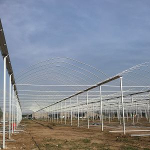 Buy cheap Multi Span Polytene Film Agricultural Greenhouse with Automatic Controlling System from wholesalers