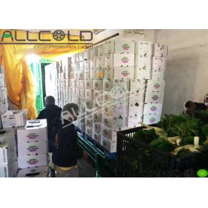 Buy cheap R404A / R407C Refrigerants Vacuum Cooling Machine With One Button Start System from wholesalers