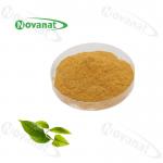 Buy cheap Camellia Sinensis Instant Green Tea Powder Extract 20% -50% Polyphenols / Food Beverage from wholesalers