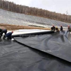 Industrial Design Style Plastic Liners for Farm Earch Dam Lining at Affordable