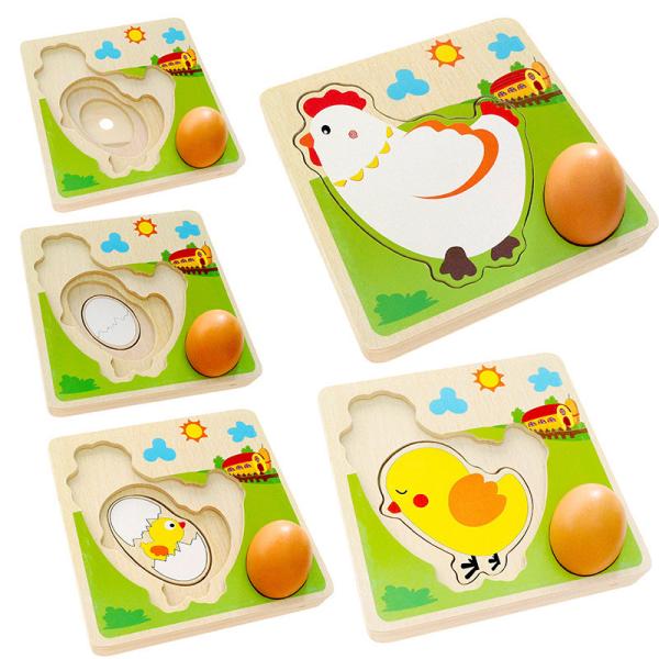 Buy cheap 3D Chicken Growth Process Wooden Multi Layer Puzzle from wholesalers
