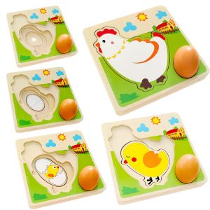 Buy cheap 3D Chicken Growth Process Wooden Multi Layer Puzzle from wholesalers
