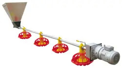 PLC Control Avian Feeding Line 3m*0.8m*1.2m