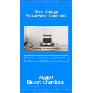 BV Anionic Polyacrylamide Flocculant River Sludge Wastewater Treatment Sludge