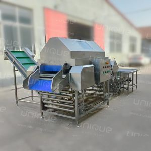 Buy cheap 2023 Year Automatic Onion Skin Peeling Machine Perfect Solution for Onion Processing from wholesalers
