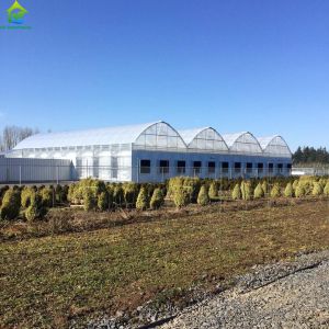 Buy cheap Greenhouse Intelligent Irrigation Fertilization System Fertilizer Dosing System from wholesalers