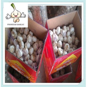 China fresh garlic white Grade AAA Organic Fresh Garlic Pure White Garlic on sale