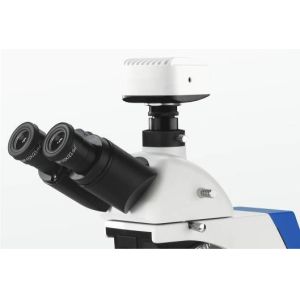 Integrated Dark Field Polarizing Lab Biological Microscope 4 Position