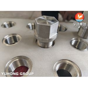 Buy cheap Stainless Steel Bolt and Nut for Heat Exchanger TubeSheet Application from wholesalers